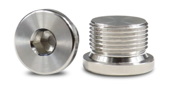 Combination gasket plug
